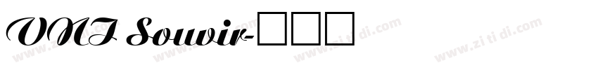 VNI Souvir字体转换